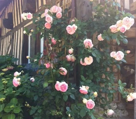 Bed & Breakfast A La Bergerie 3*